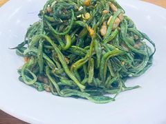 扁豆肉丝-娄三少·老北京春饼烤鸭家常菜(富力又一城店)