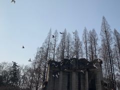 -音乐台