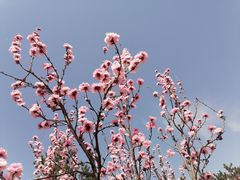 -洨河生态公园
