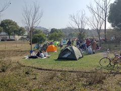 -昆山城市生态森林公园