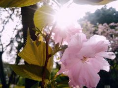 -百林公园-两江幸福广场
