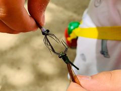 -碓臼峪自然风景区