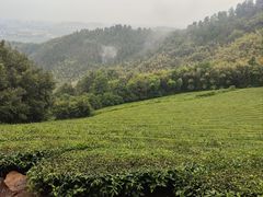 -敬亭山风景名胜区