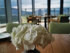 -瑰丽酒店·海吧·天际下午茶·现场DJ·天台酒吧