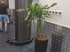 -帝豪斯健身俱乐部(市府恒隆广场店)