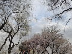 -颐和园