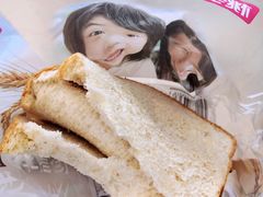 -紫燕百味鸡(广埠屯店)