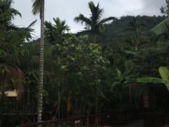 -七仙岭温泉国家森林公园