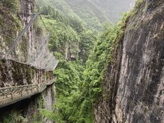 -鹿院坪生态旅游景区