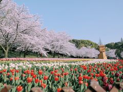 -苏州上方山国家森林公园