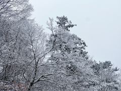 -大别山南武当滑雪场