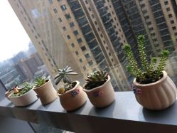 -北京米扬丽格医疗美容·联合丽格鼻整形中心