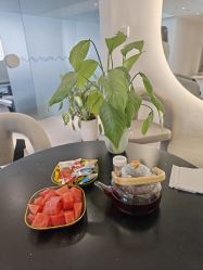 -兰瑜伽·普拉提·塑形