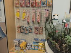 -瑞派·关忠动物医院·猫专科·犬专科(三环新城店)