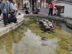 -红螺寺
