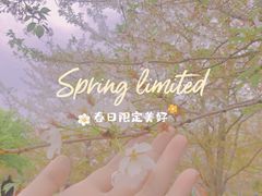-顾村公园