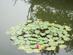 -常熟方塔园