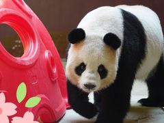 -杭州野生动物世界