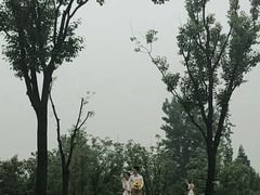 -两河城市森林公园