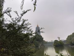 -红梅公园