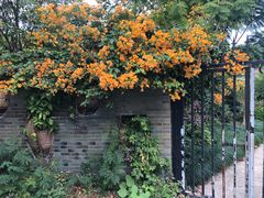 -忆夏爽黑仔漳州四果汤(顶澳仔猫街店)