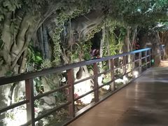 -花之城
