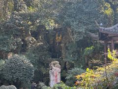 -杭州黄龙洞