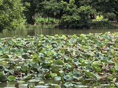 -人民公园(罗湖区)