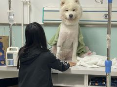 -达爱动物医院·犬猫分区·CT·复杂眼科(远洋山水分院)