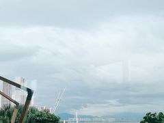 -希尔顿南海酒店·观廊大堂吧·海景下午茶