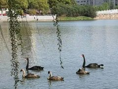 -江南大学(蠡湖校区)