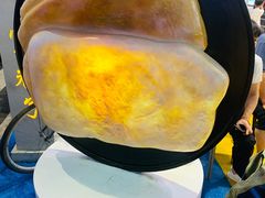 -杨老大焙子月饼干货(宽巷子民族美食街店)