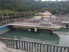 -广东惠东海龟国家级自然保护区