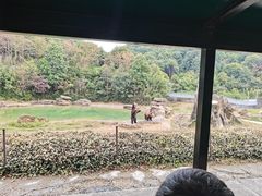 -杭州野生动物世界
