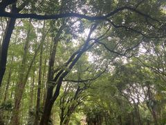 -采石矶景区