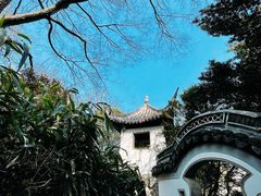-秋霞圃