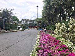 -东芭乐园