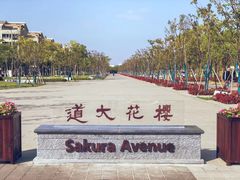 -上海海事大学(临港校区)