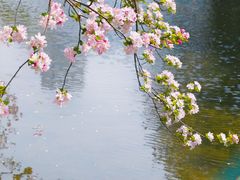 -莫愁湖公园