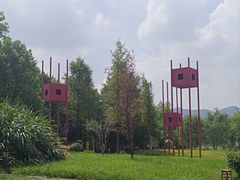 -西溪国家湿地公园