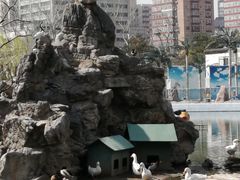 -团结湖公园