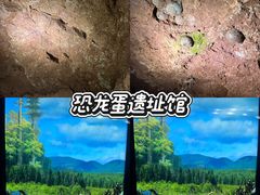-中国西峡恐龙遗迹园