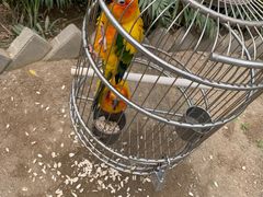 -南宫五洲植物乐园