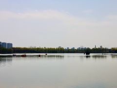 -大兴滨河森林公园