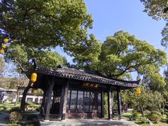 -杭州西湖柳莺里酒店