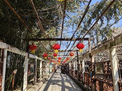 -呀路古热带植物园