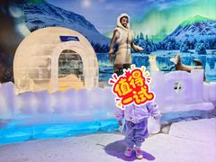 -海合安成都极地海洋公园