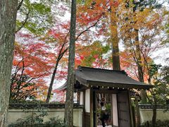 -三千院