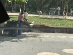 -鸡鸣汤包(红山动物园店)