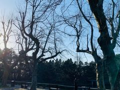 -庐山风景区花径公园